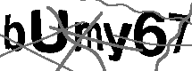 Loading CAPTCHA Image...